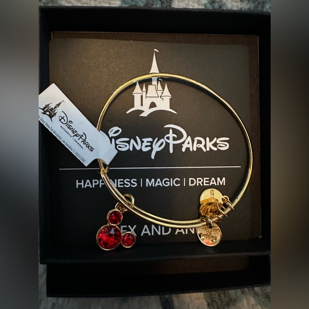 Alex and Ani Disney Bracelet